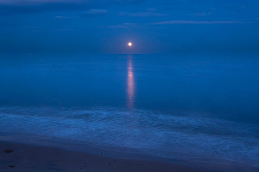 Image of Moonrise #3 - Whitley Bay