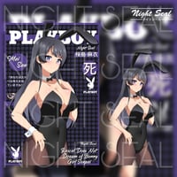 Image 1 of Waifu Bundle v.2