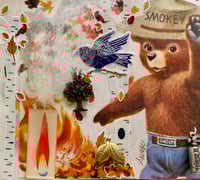 Illegal Leaf Burning