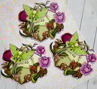 Image 2 of Moth Dice Magnet