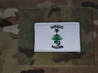 Image 1 of Maine Flag Patch