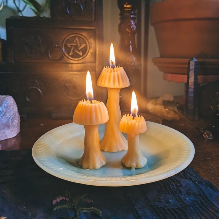 Image of Mini Mushroom Candle Set