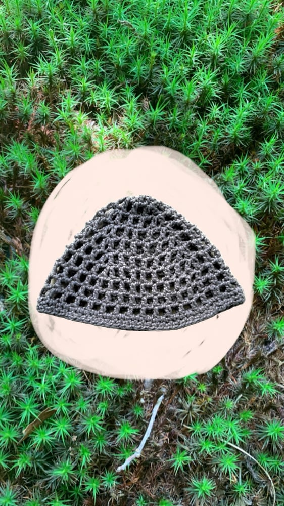 Image of Grey Skullcap