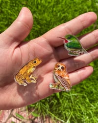 Image 2 of San Pedrito Acrylic Pin | Puerto Rican Tody Pin