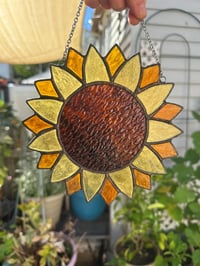 Image 5 of Sunflower 🌻