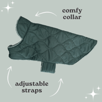 Image 2 of Sage Teddy / Forest Green Puffer Coat