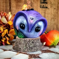 Image 2 of Halloween Owlberry
