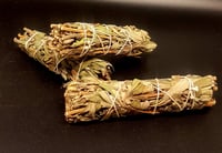 Image 3 of Sage