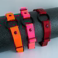 Image 3 of zero cool collar
