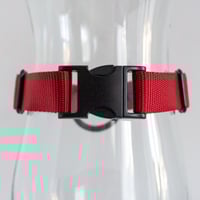 Image 2 of zero cool collar