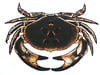 Crab linocut print - 8 colours 