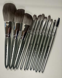 Platinum Brush Set