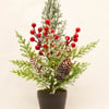 Festive Potted Tree 35 cm