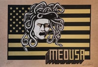 Medu.s.a. brn.