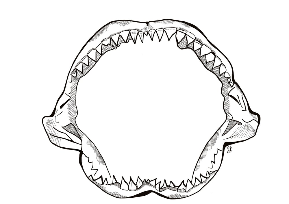 Shark Jaw Decal - by Sophie Fletcher Designs | Troopy Gear