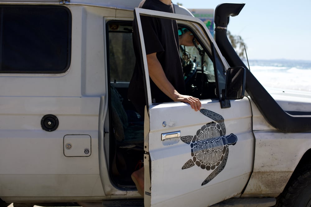 Image of Turtle Decal - by Sophie Fletcher Designs