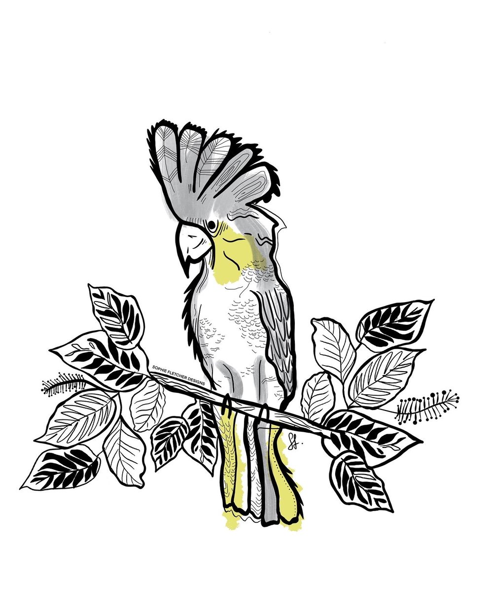 Image of Cockatoo Decal - by Sophie Fletcher Designs
