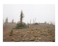 Image 2 of Adaptation by Alyson Bowen