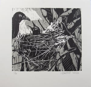Image of Original woodcut of a honeyeater feeding its young ('Hidden Beauty')