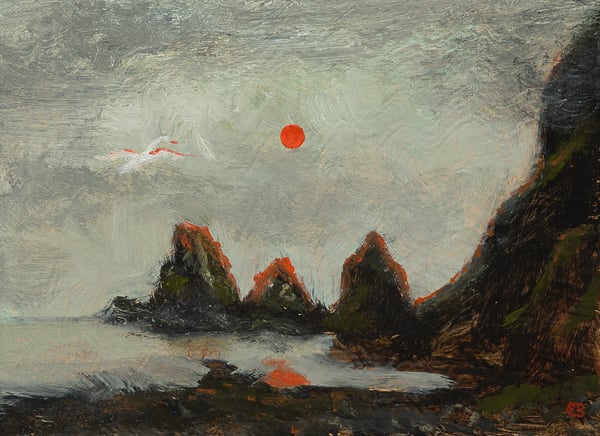 Image of The red sun reflecting off the wings of a swan