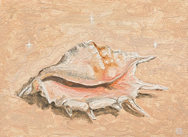 Image of Nova 