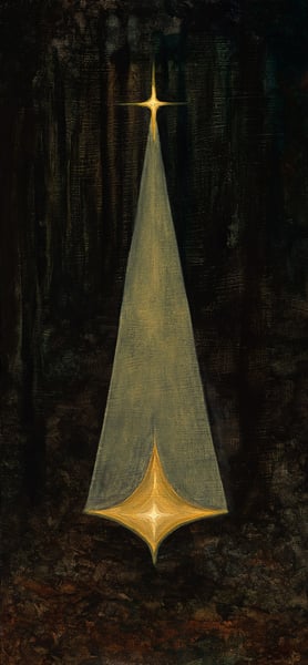Image of The shifting star of light on the forest floor