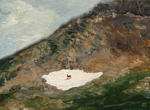 Image of Lone chamois on the remaining snow in the black mountains 