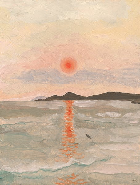 Image of Fish watching the red sun setting