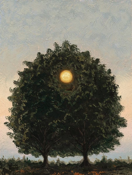 Image of Night light, nesting in the Moretons