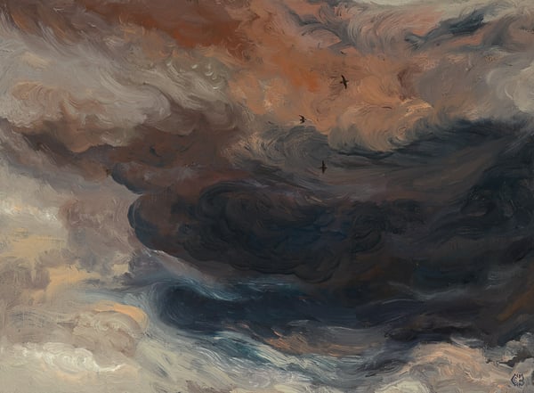 Image of Into the storm