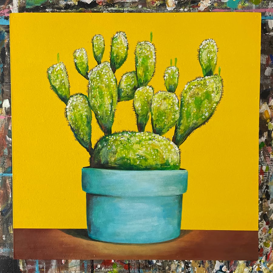 Image of Cactus 11/11/22