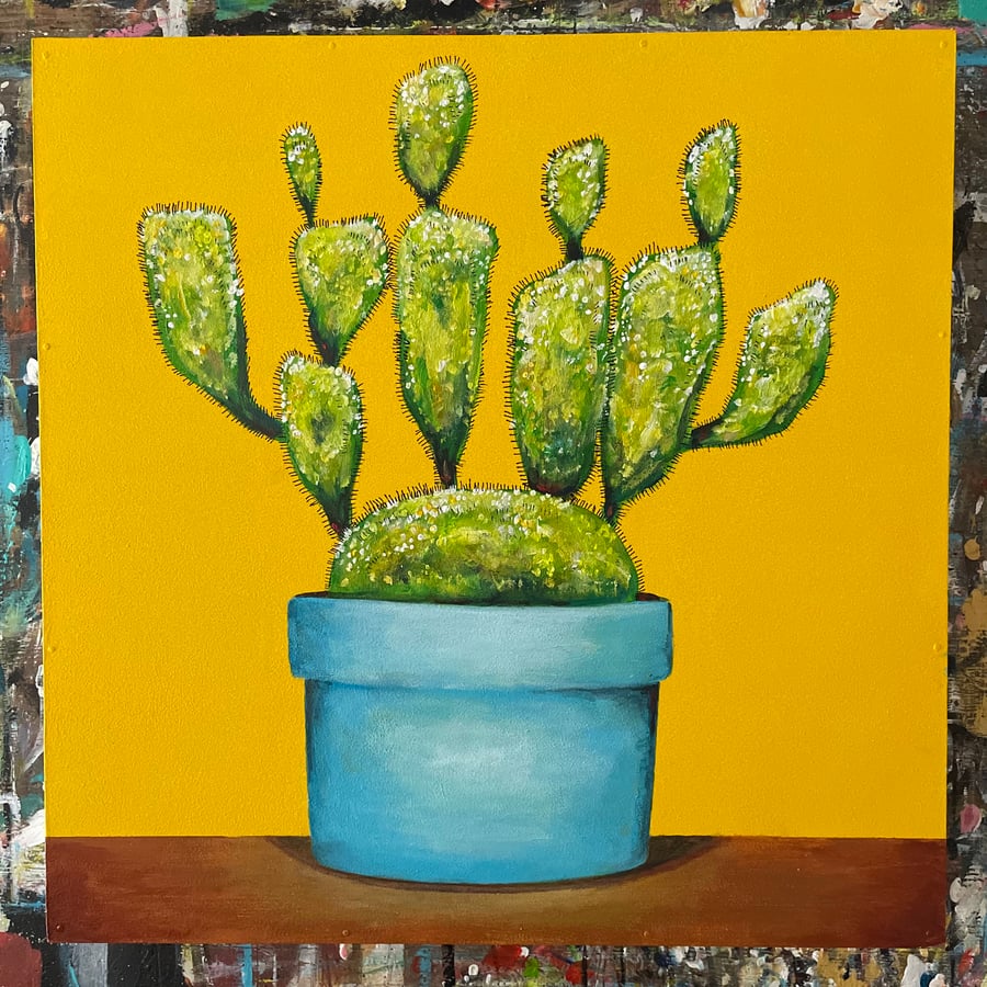 Image of Cactus 11/12/22