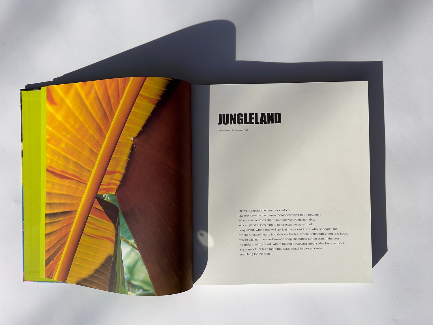 Image of MIAMI - JUNGLELAND