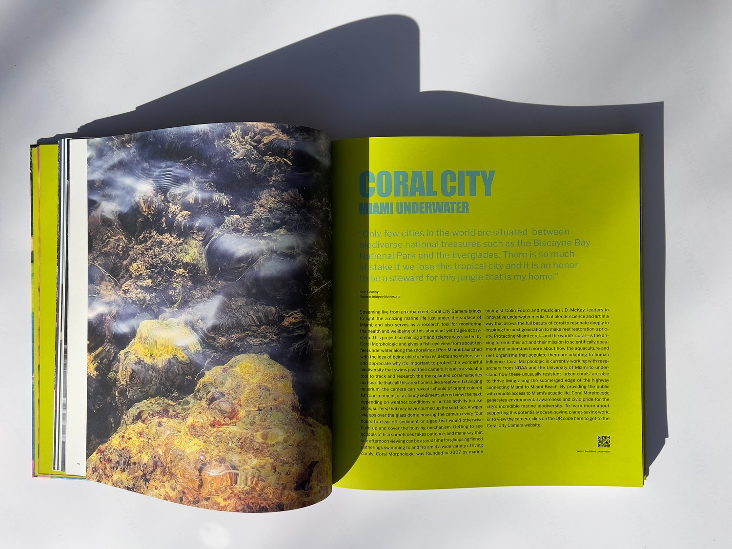 Image of MIAMI - JUNGLELAND