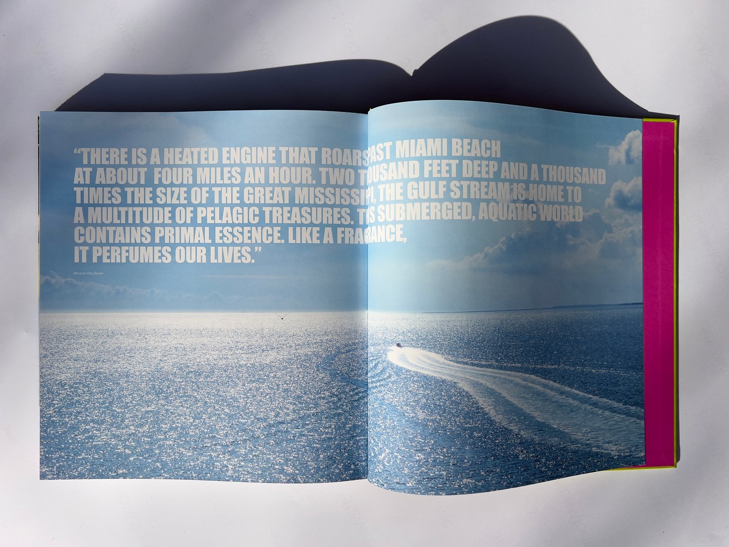 Image of MIAMI - JUNGLELAND