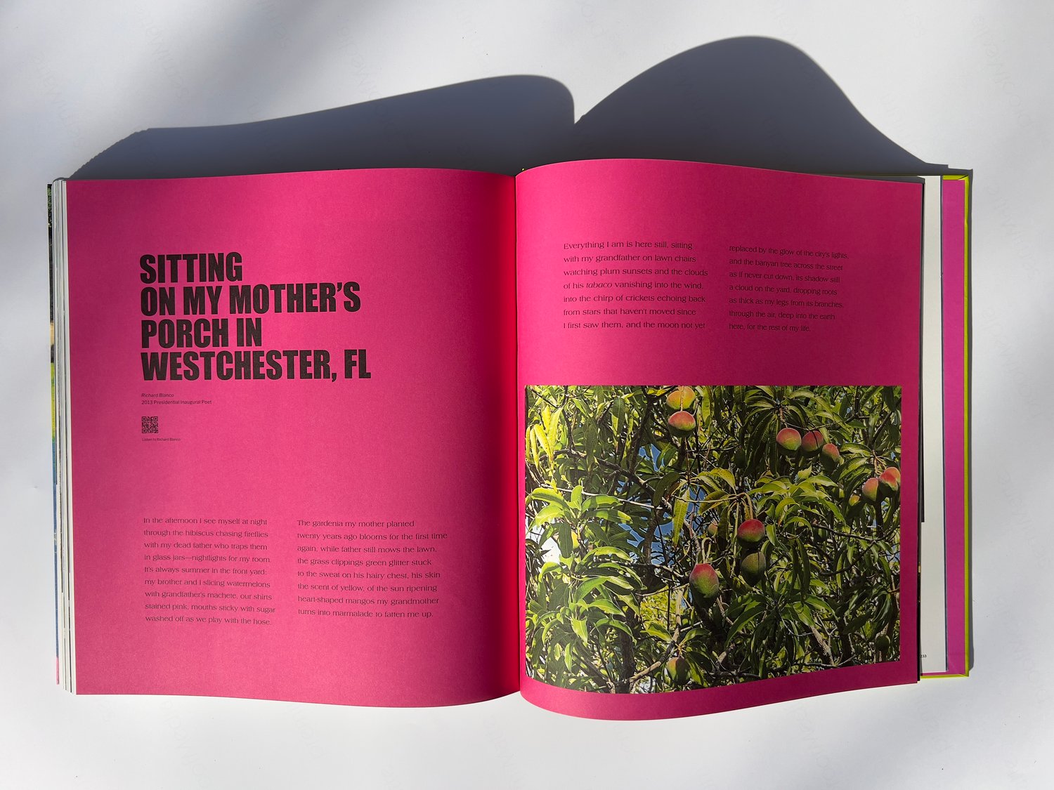 Image of MIAMI - JUNGLELAND