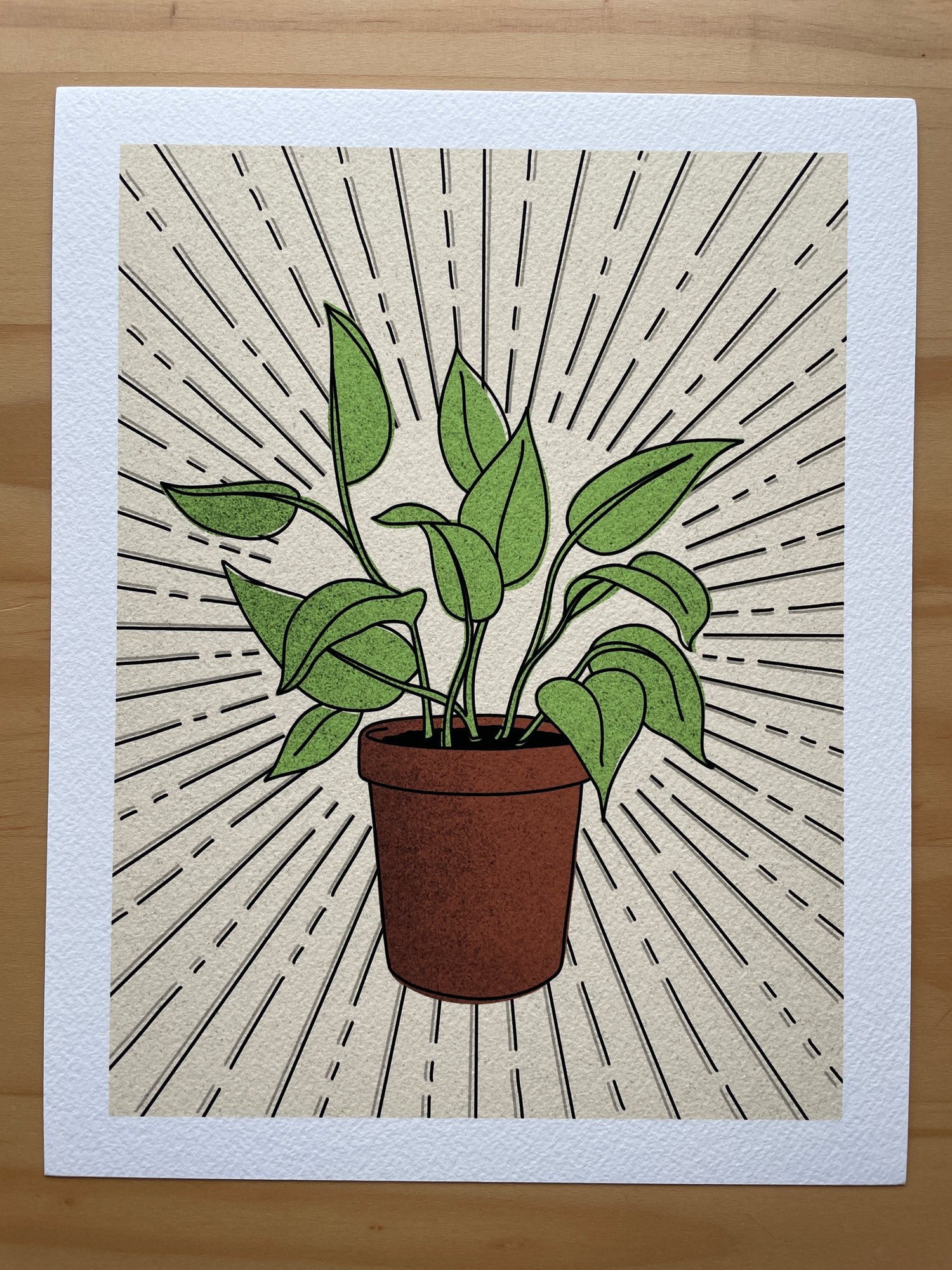 Pothos