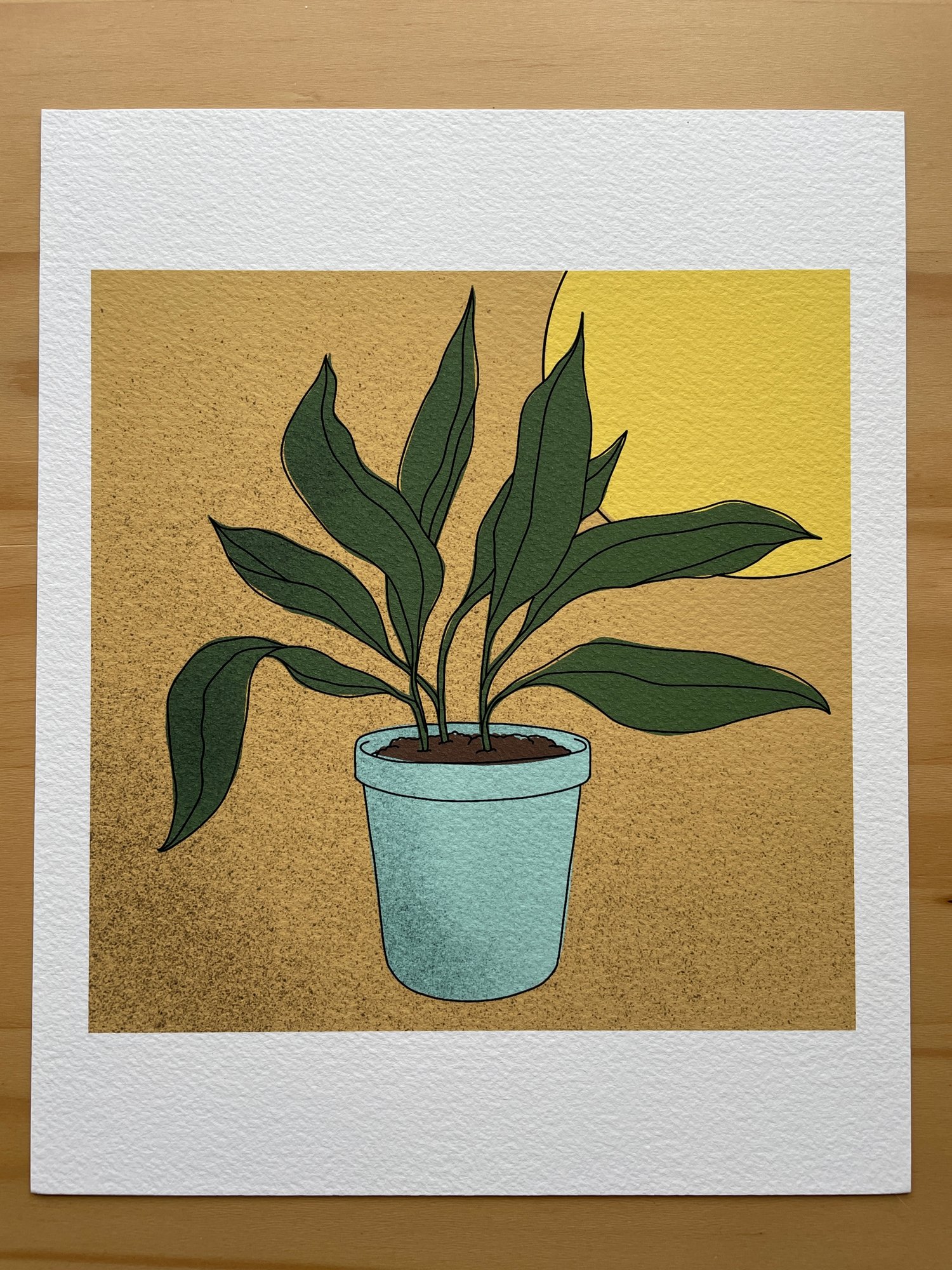 Cast Iron Plant