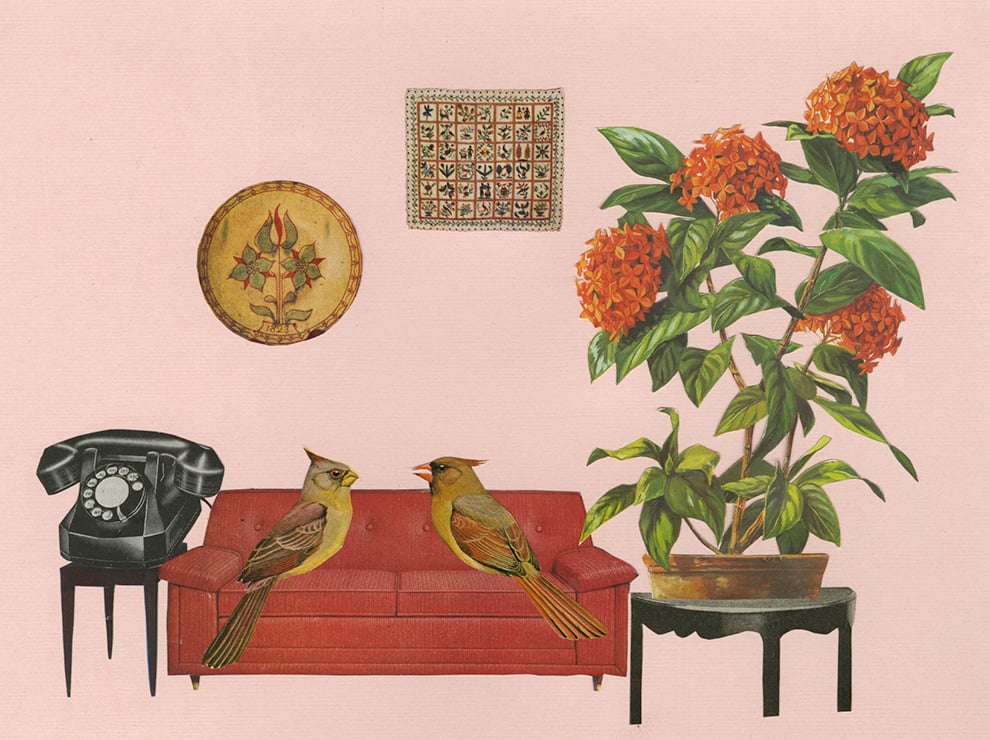 Image of While Carmine twitters on endlessly, Dr. Pyrrhuloxia thinks about.. collage print