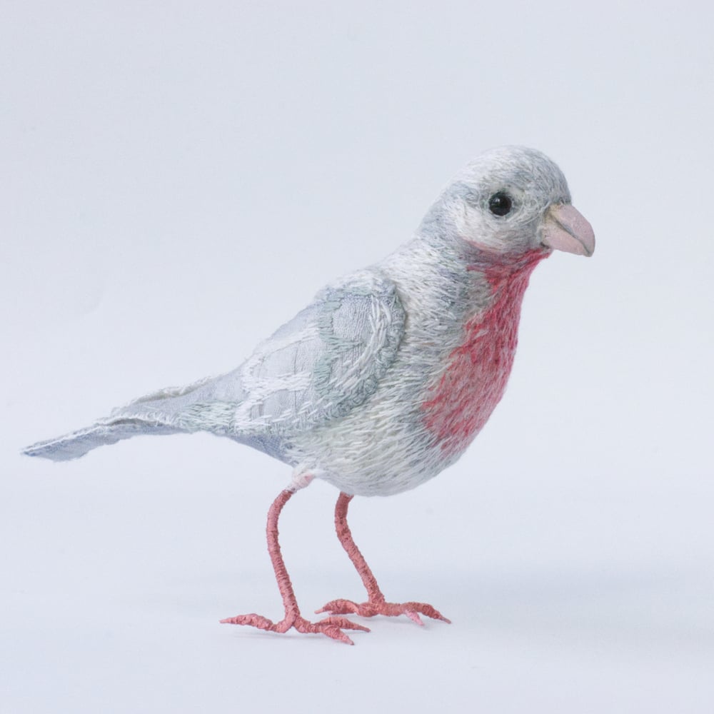 Image of White Pink Bird