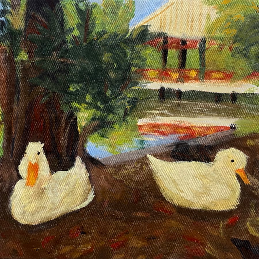 Image of Girard Park Ducks - 10" x 10" print