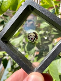 Image 3 of Holla Holla Murrine Pearls and Coins