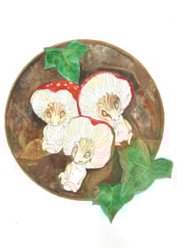 Image 3 of Under the Tumshie Moon Postcard Set