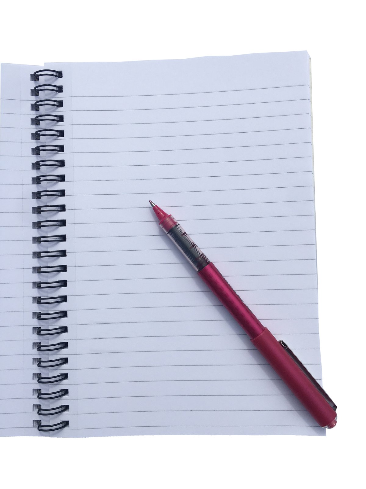 Peace Doves Spiral Bound Notebook