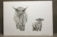 Image 2 of A5 Highland Cow Art Print 