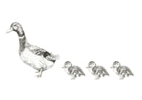 Image 1 of A5 Duck Art Print