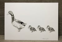 Image 2 of A5 Duck Art Print
