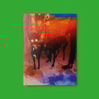 Image 3 of Gucci by Harmony Korine 2019 - signed