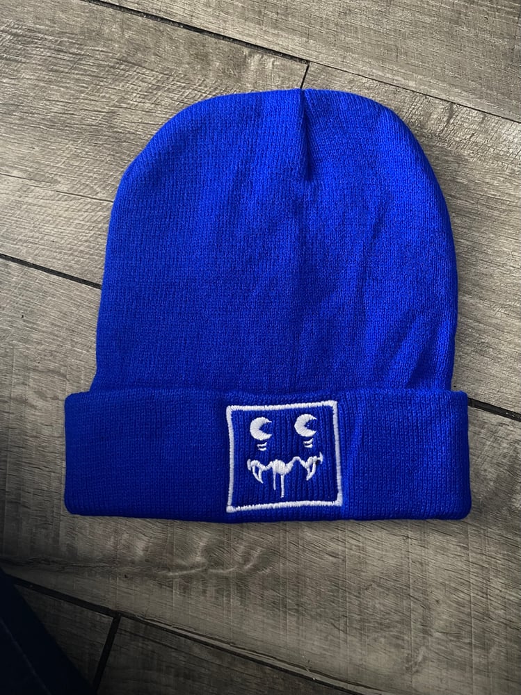 Image of R2G2 beanies 