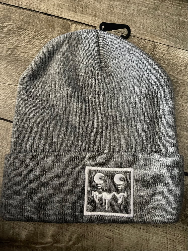 Image of R2G2 beanies 